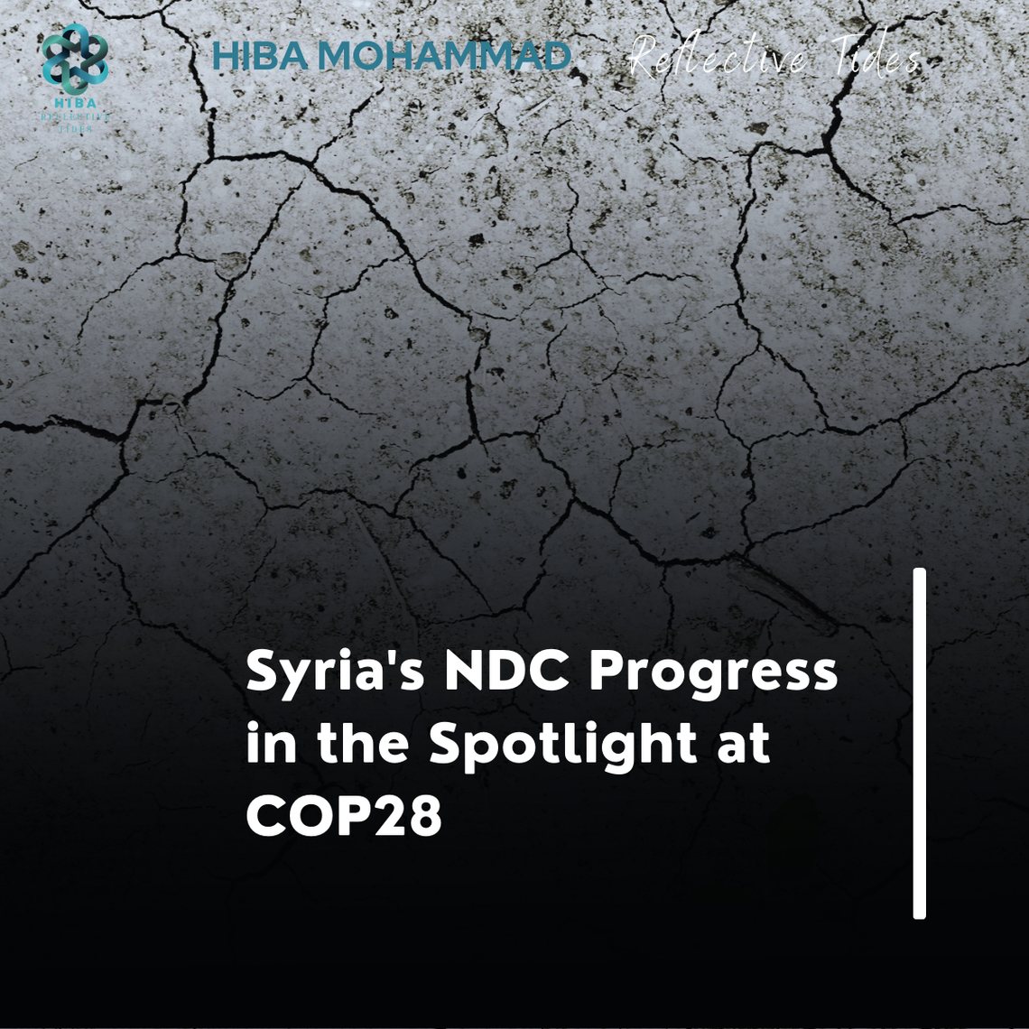 Syria's NDC Progress in the Spotlight at COP28
