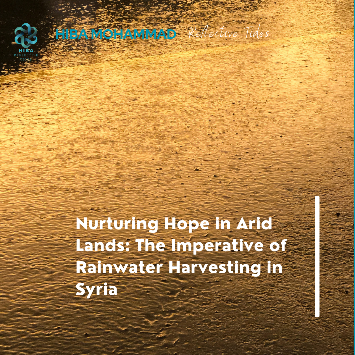 Nurturing Hope in Arid Lands: The Imperative of Rainwater Harvesting in Syria 🌧️