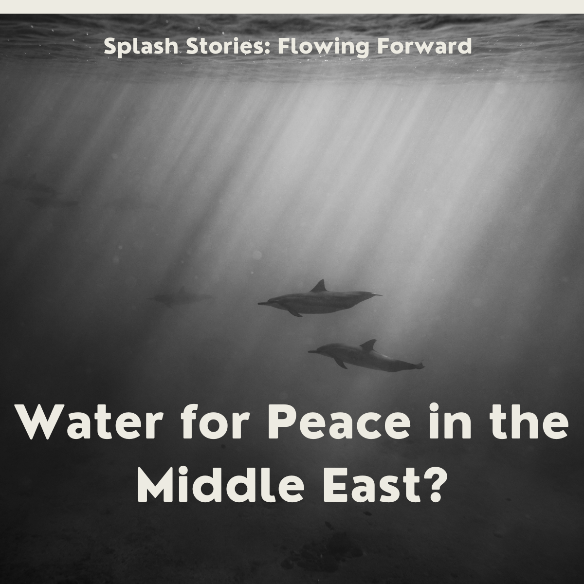Will water ever be a tool for peace building in the Middle East?