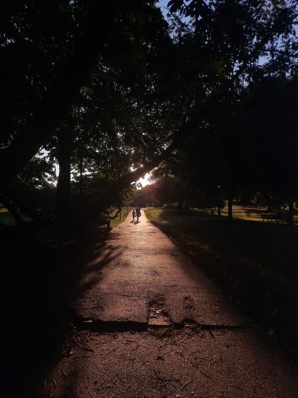 Carrying Many Worlds at Once