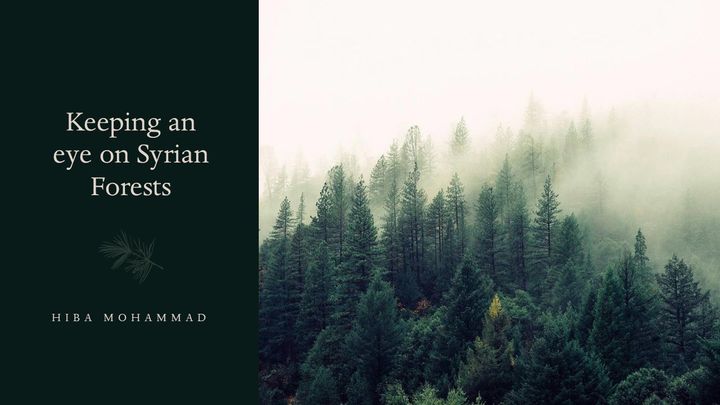 Forests in Syria and their primary role to achieve SDG15