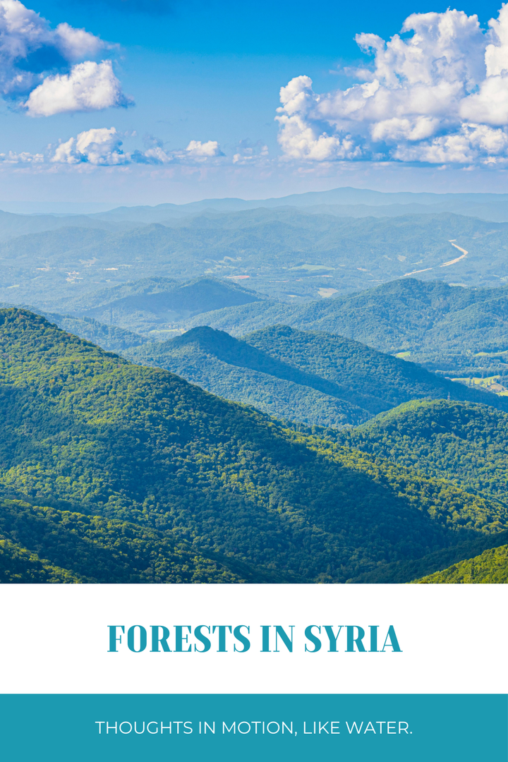 Forests in Syria and their primary role to achieve SDG15